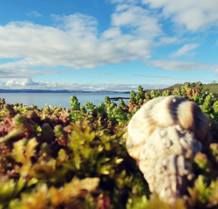 Tobar Nan Iasgair Lismore Achnacroish Екстериор снимка